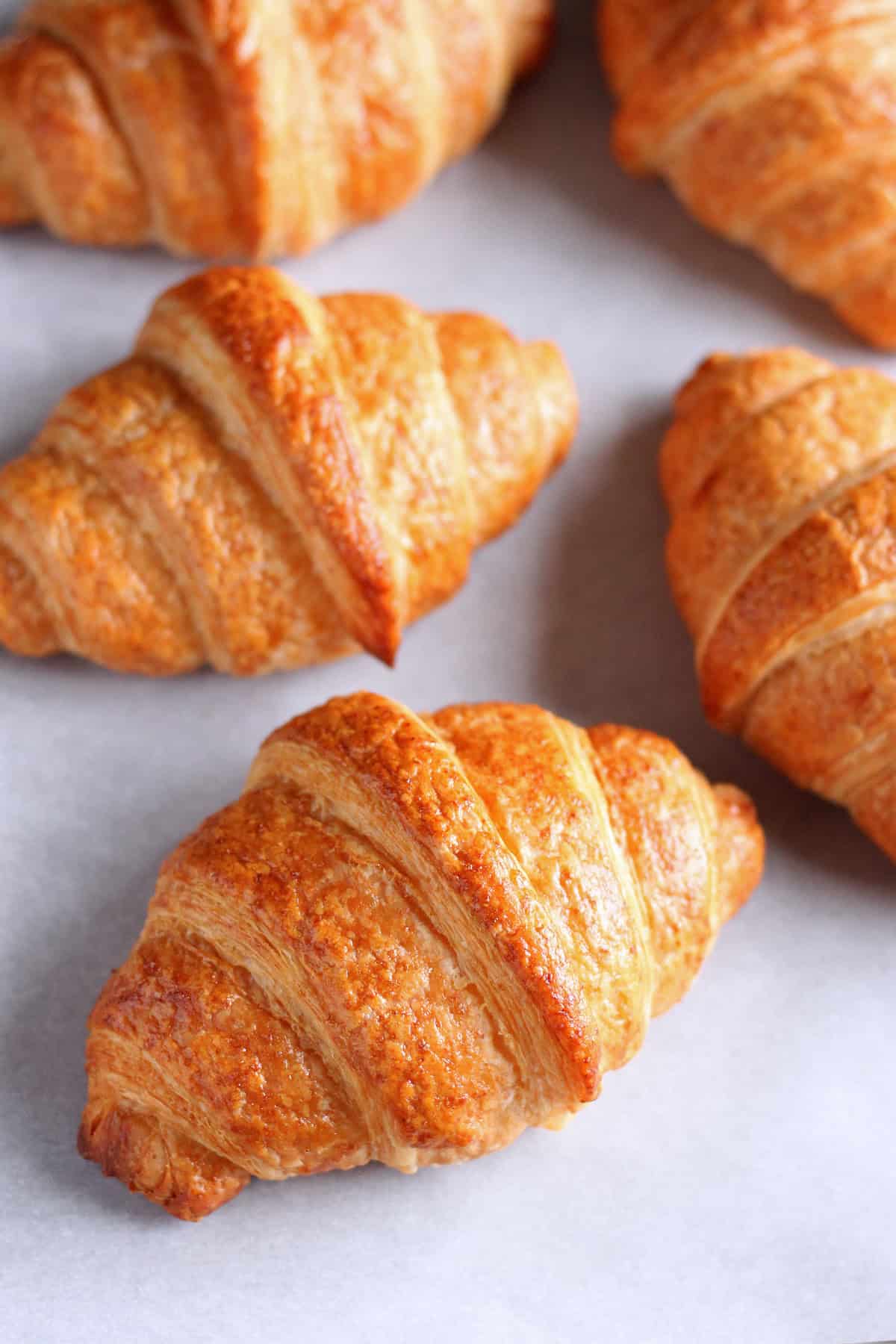 Butter Croissant